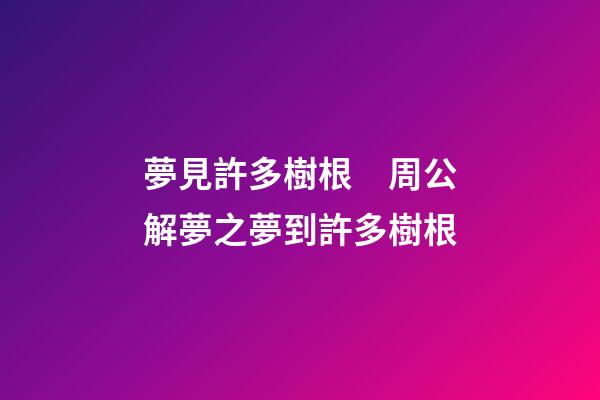 夢見許多樹根　周公解夢之夢到許多樹根